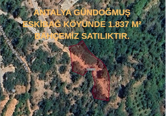 ANTALYA GÜNDOĞMUŞ ESKİBAĞ KÖYÜNDE 1.837 M² BAHÇEMİZ SATILIKTIR. - ANTALYA GÜNDOĞMUŞ fotoğraf 6